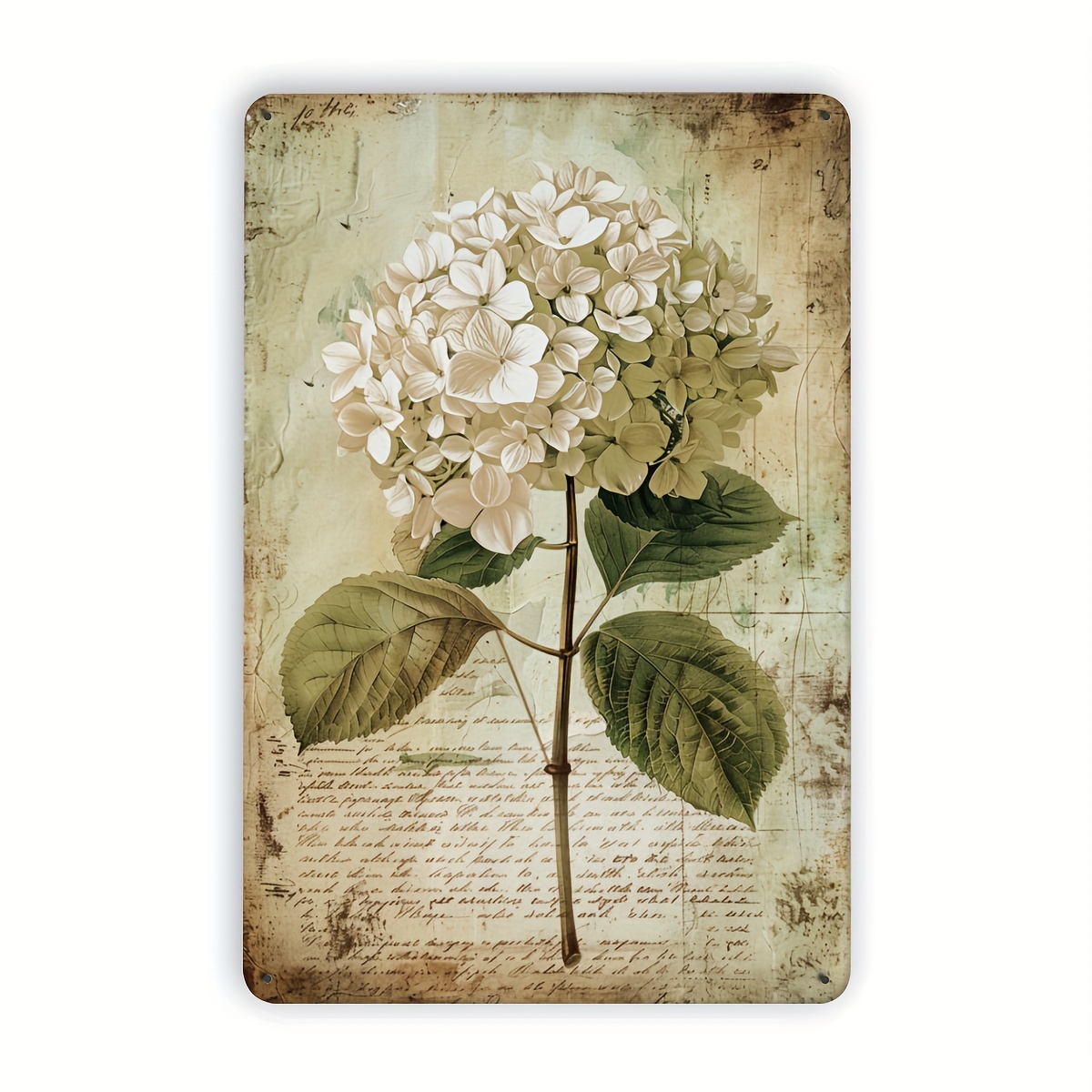 Home Gym In Garage - 2D Flat, 2D Flat Hydrangea Vintage