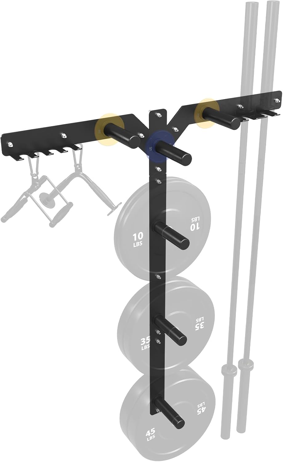 Home Gym In Garage - Wall Mounted Weight Plate Storage Rack