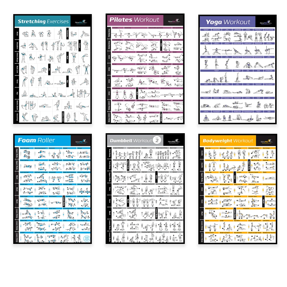 Body Exercise Training Chart W - Home Gym Designs 评论和价格
