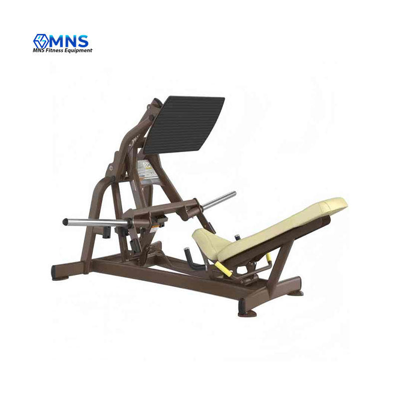 Commercial & Home Gym 45 Degre - Home Gym With Leg Press 评论和价格