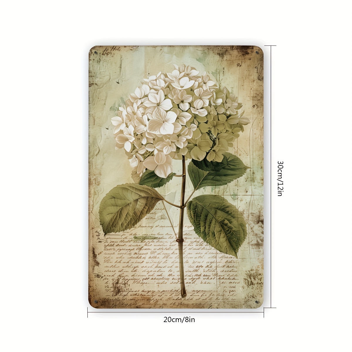 2D Flat, 2D Flat Hydrangea Vin - Home Gym In Garage 评论和价格