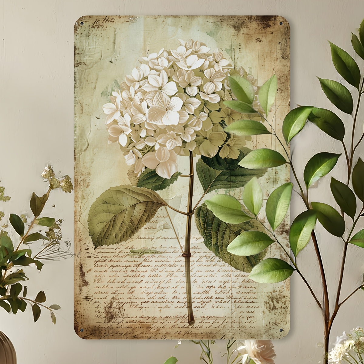 2D Flat, 2D Flat Hydrangea Vin - Home Gym In Garage 评论和价格