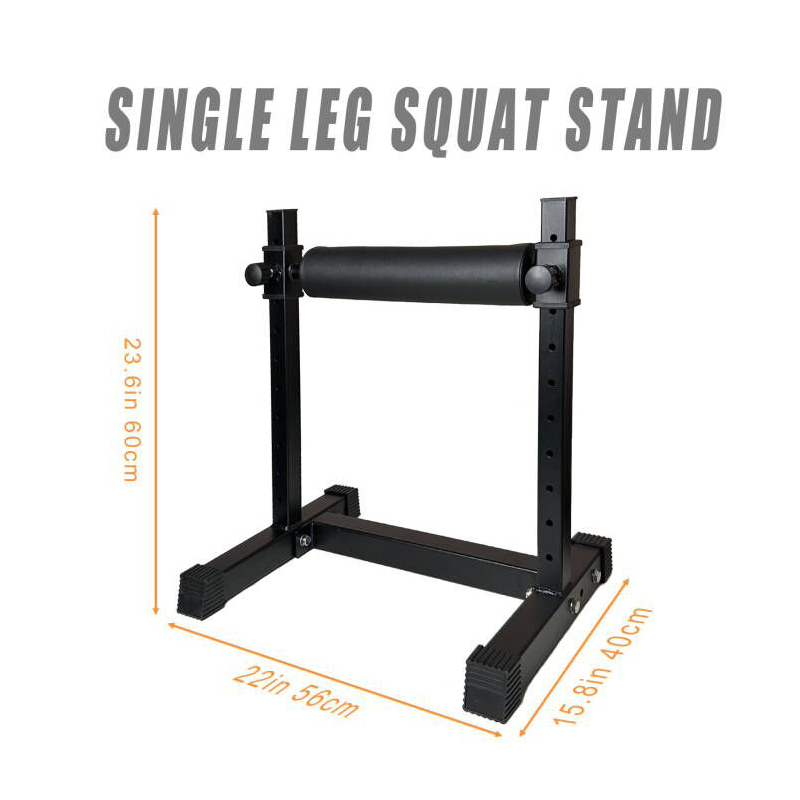 Adjustable Single Leg Squat St - Home Gym Designs 评论和价格