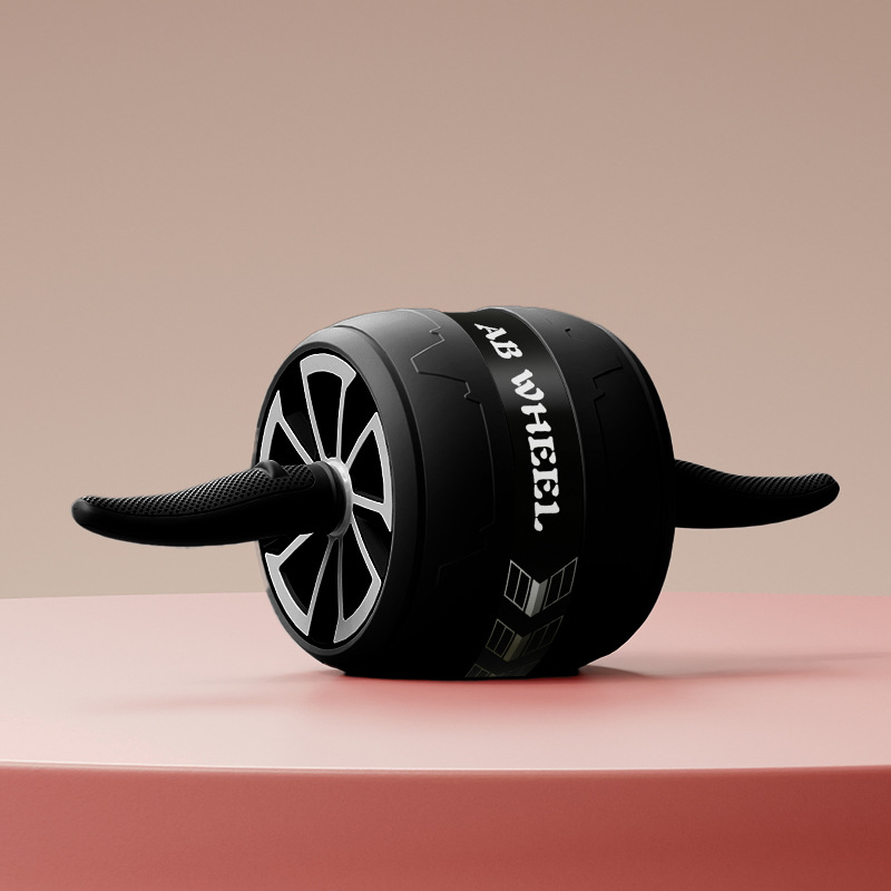 Quiet AB Wheel Roller Home Gym - Home Gym Second 评论和价格