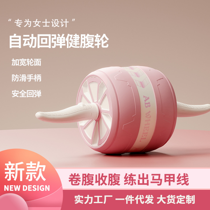 Quiet AB Wheel Roller Home Gym - Home Gym Second 评论和价格