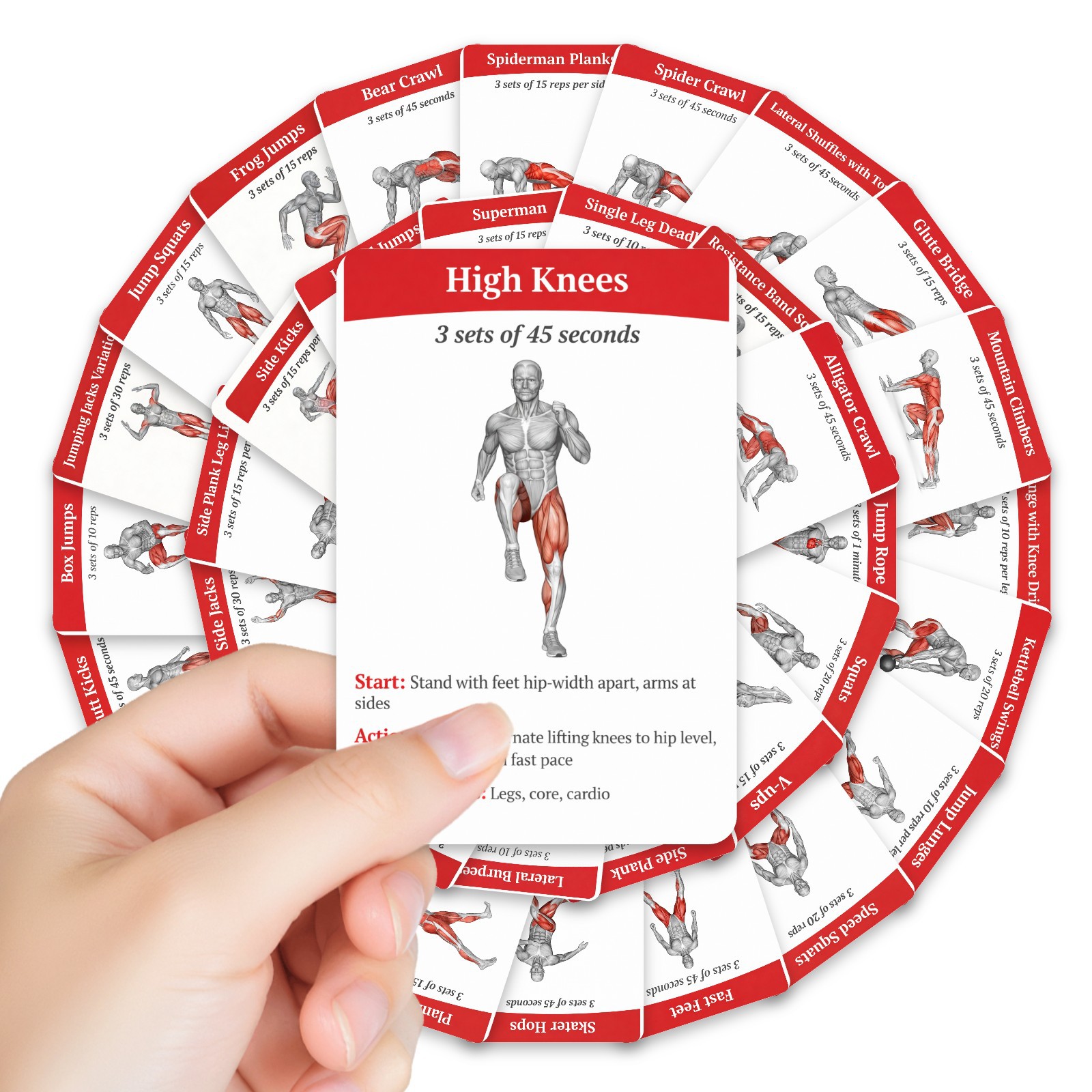 36Pcs Full Body Fat Burning Wo - Home Gym Needs 评论和价格