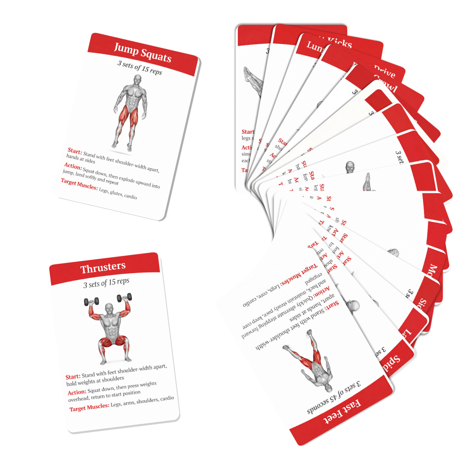 36Pcs Full Body Fat Burning Wo - Home Gym Needs 评论和价格